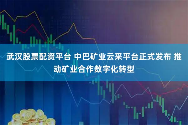 武汉股票配资平台 中巴矿业云采平台正式发布 推动矿业合作数字化转型